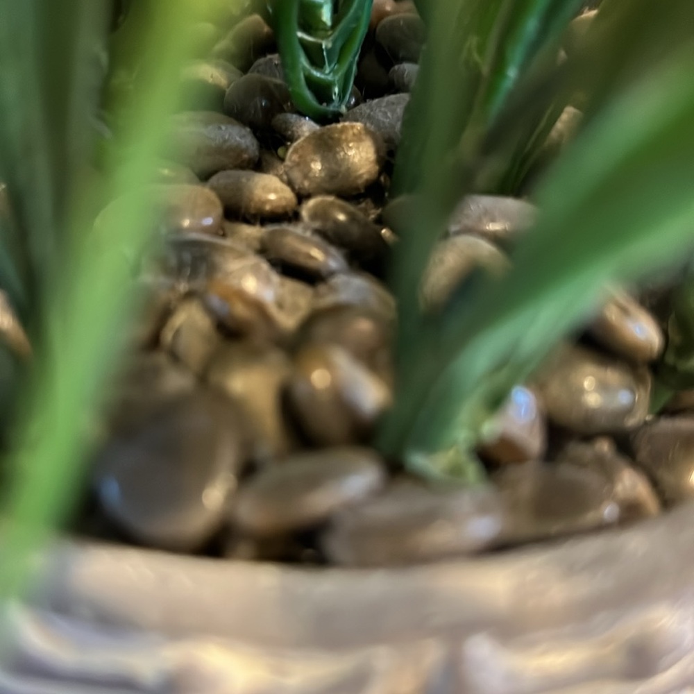 Purple Floral Arrangement in Textured Pot - Picture 4 of 6